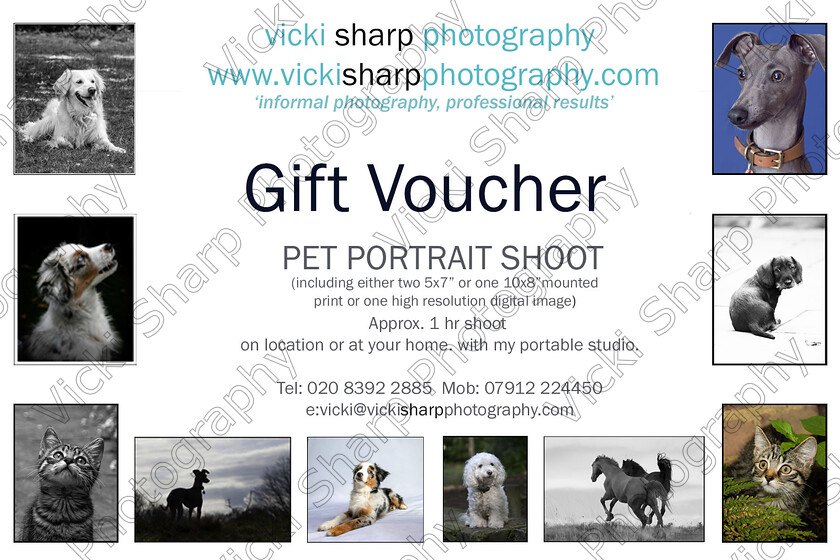 CurrentGIFT-VOUCHER-PET-PORTRAITWEB